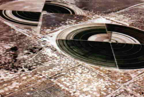 Giant green circles in the desert - artificial cultures
